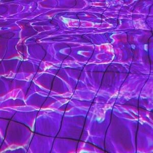 Meet your Posher, Dominique